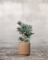 type=Simple krukke/color=Pale Terracotta