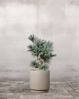 type=Simple krukke/color=Light Sand