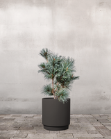 type=Simple krukke/color=Warm Black