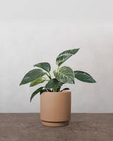 type=Simple krukke/color=Pale Terracotta