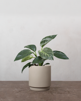 type=Simple krukke/color=Light Sand