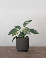 type=Simple krukke/color=Warm Black