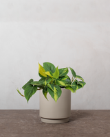 type=Simple krukke/color=Light Sand