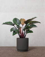 type=Simple krukke/color=Warm Black