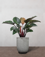 type=Glaseret krukke/color=Grå