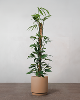 type=Simple krukke/color=Pale Terracotta