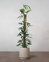 type=Simple krukke/color=Light Sand