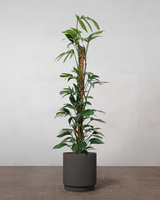 type=Simple krukke/color=Warm Black