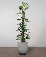 type=Glaseret krukke/color=Grå