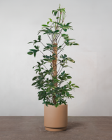 type=Simple krukke/color=Pale Terracotta