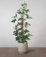 type=Simple krukke/color=Light Sand