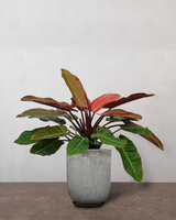 type=Glaseret krukke/color=Grå