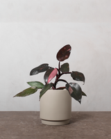 type=Simple krukke/color=Light Sand