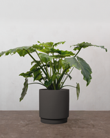 type=Simple krukke/color=Warm Black