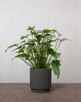 type=Simple krukke/color=Warm Black