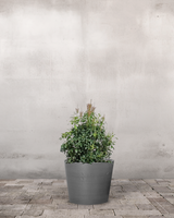 type=Greenify Udendørskrukke/color=Grå