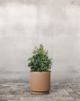 type=Simple krukke/color=Pale Terracotta