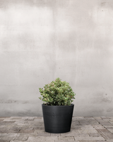 type=Greenify Udendørskrukke/color=Sort