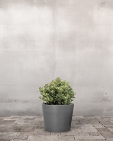 type=Greenify Udendørskrukke/color=Grå