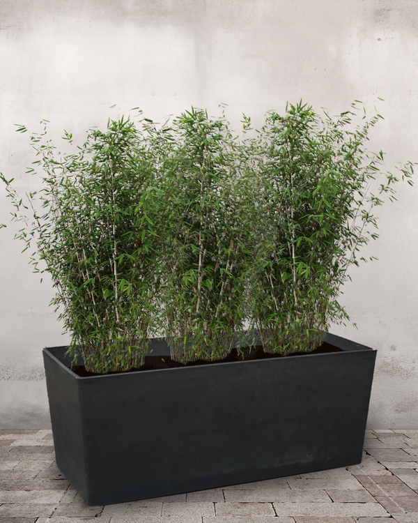 Bambus - Plantekasse m. hjul & vandreservoir - 110-130 cm