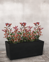 type=Ingen krukke/color=Ingen farve