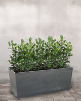 type=Greenify Udendørskrukke/color=Sort