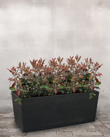 type=Ingen krukke/color=Ingen farve