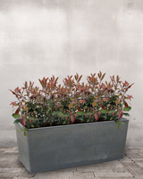 type=Greenify Udendørskrukke/color=Sort