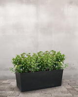 type=Ingen krukke/color=Ingen farve