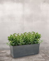 type=Greenify Udendørskrukke/color=Sort