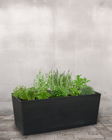 type=Ingen krukke/color=Ingen farve