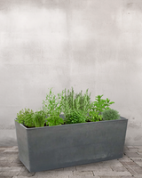 type=Greenify Udendørskrukke/color=Sort