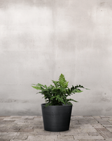 type=Greenify Udendørskrukke/color=Sort