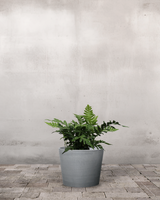 type=Greenify Udendørskrukke/color=Grå