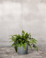 type=Greenify Udendørskrukke/color=Grå