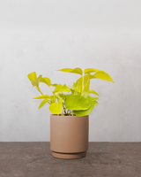 type=Simple krukke/color=Pale Terracotta