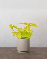 type=Simple Pot Clay/color=Light Sand