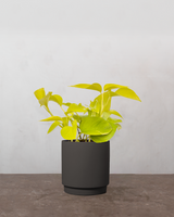 type=Simple krukke/color=Warm Black