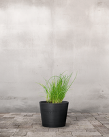 type=Greenify Udendørskrukke/color=Sort