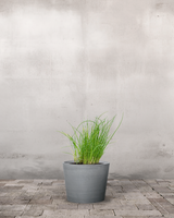 type=Greenify Udendørskrukke/color=Grå