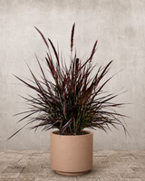 type=Simple krukke/color=Pale Terracotta