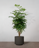 type=Simple krukke/color=Warm Black