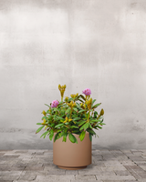 type=Simple krukke/color=Pale Terracotta