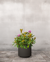 type=Simple krukke/color=Warm Black