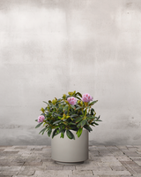 type=Simple krukke/color=Light Sand