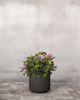 type=Simple krukke/color=Warm Black