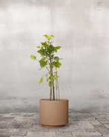 type=Simple krukke/color=Pale Terracotta