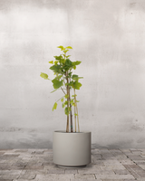 type=Simple krukke/color=Light Sand