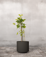 type=Simple krukke/color=Warm Black