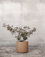 type=Simple krukke/color=Pale Terracotta